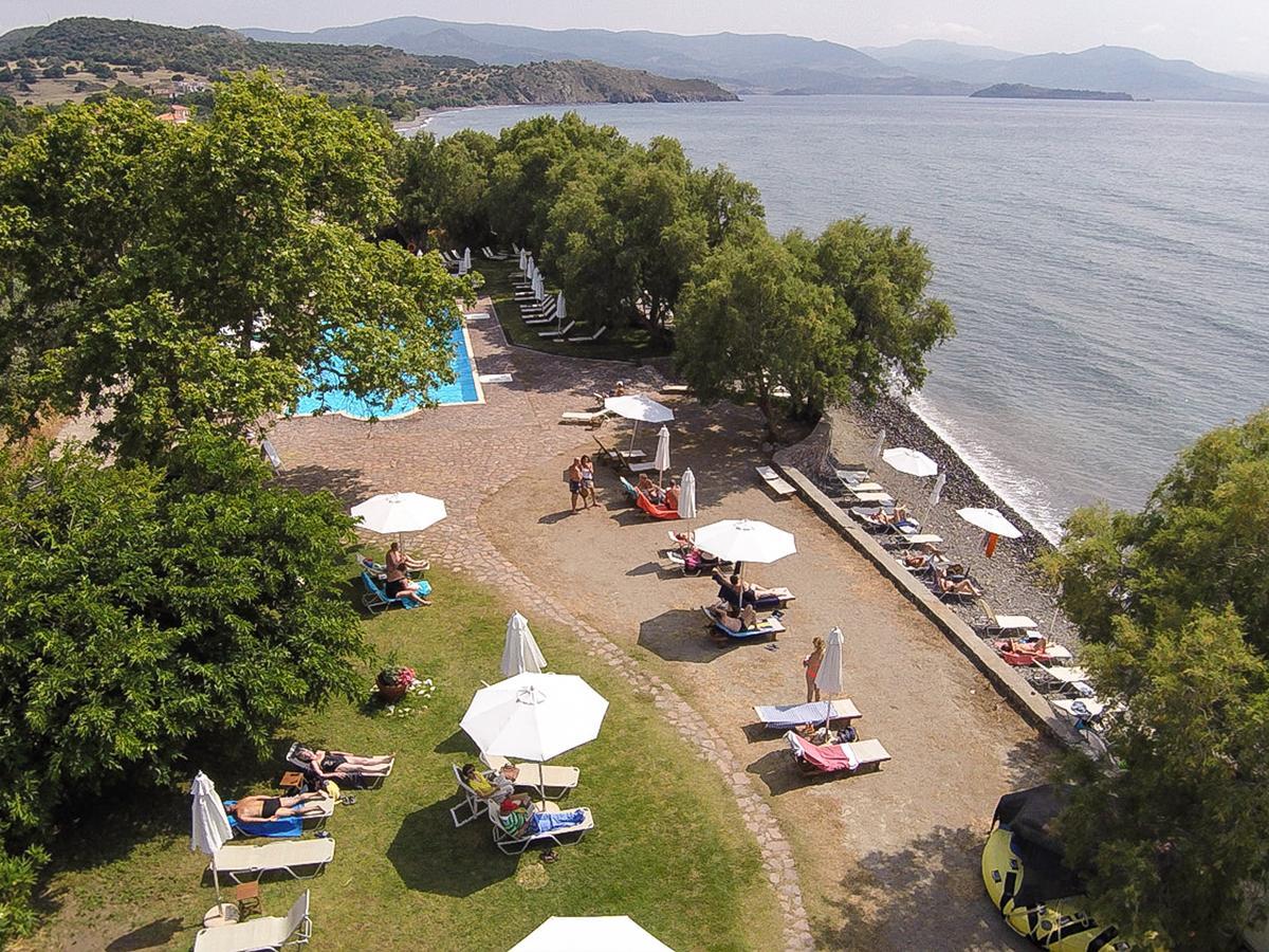 Olive Press & Hotel 3*
